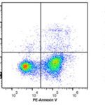 Annexin V-PE/7-AAD Apoptosis Detection Kit 100 Assays