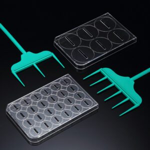 SPLScar™ Scratcher with 6well lid, HDPE, 1mm, Sterile to SAL 10-6