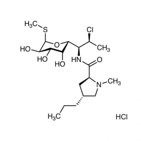 Clindamycin Hydrochloride .1 Gram