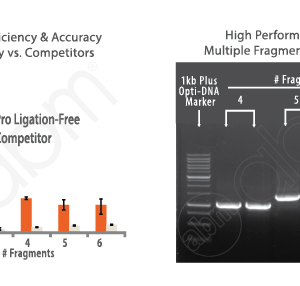 Pro Ligation-Free Cloning Kit (20 reactions)