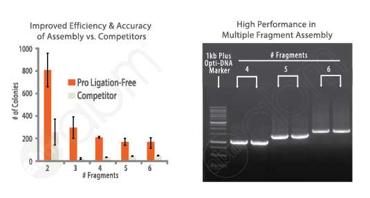 Pro Ligation-Free Cloning Kit (20 reactions)