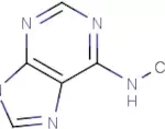 6-(Methylamino) purine - 1g