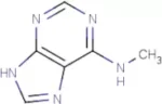 6-(Methylamino) purine - 1g