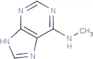 6-(Methylamino) purine - 1g