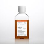 Corning® Fetal Bovine Serum, 500 mL, Regular, South American Origin