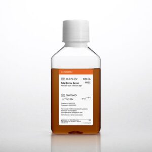 Corning® Fetal Bovine Serum, 500 mL, Regular, South American Origin