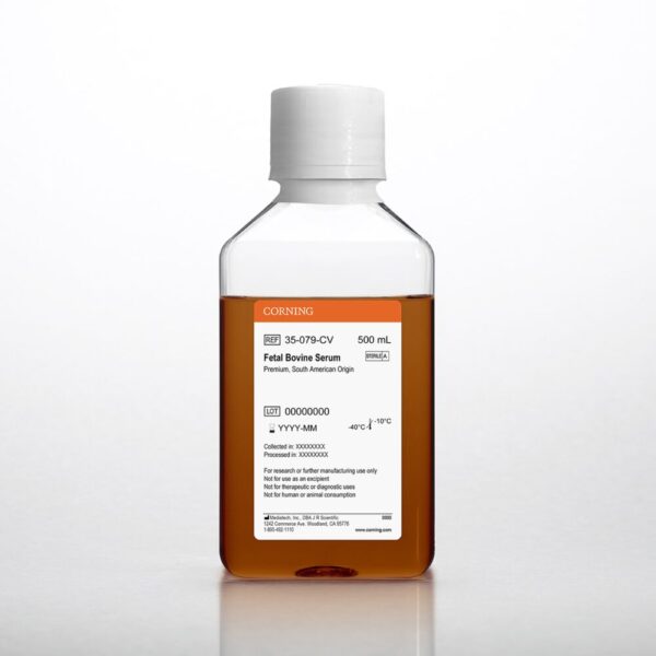 Corning® Fetal Bovine Serum, 500 mL, Regular, South American Origin