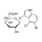 X-Gal-500mg