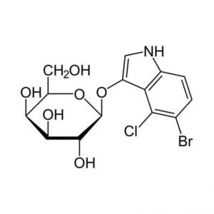 X-Gal-500mg