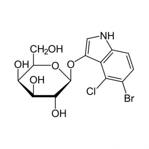 X-Gal-500mg