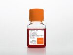 Corning® 100 mL Trypsin EDTA 1X ,0.25% Trypsin/2.21 mM EDTA in HBSS; [-] sodium bicarbonate, calcium, magnesium