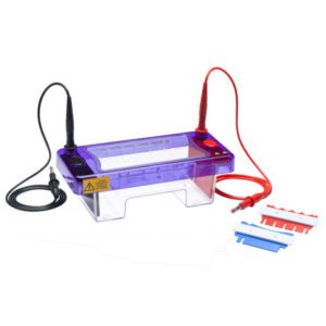 multiSUB Choice, Wide Midi Horizontal Electrophoresis System