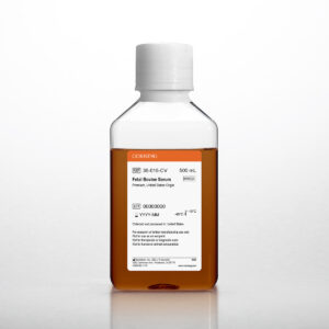 Corning® Fetal Bovine Serum, 500 mL, Regular, USDA approved Origin (Heat Inactivated)