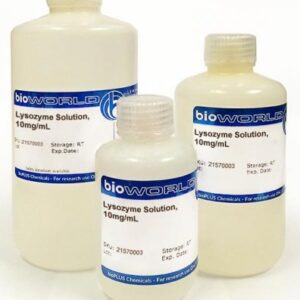 Lysozyme Solution, 10mg/mL