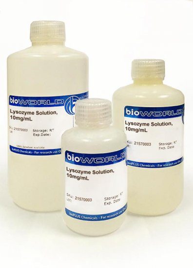 Lysozyme Solution, 10mg/mL