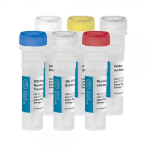 SOLIScript® RT cDNA synthesis KIT (50 rxn)