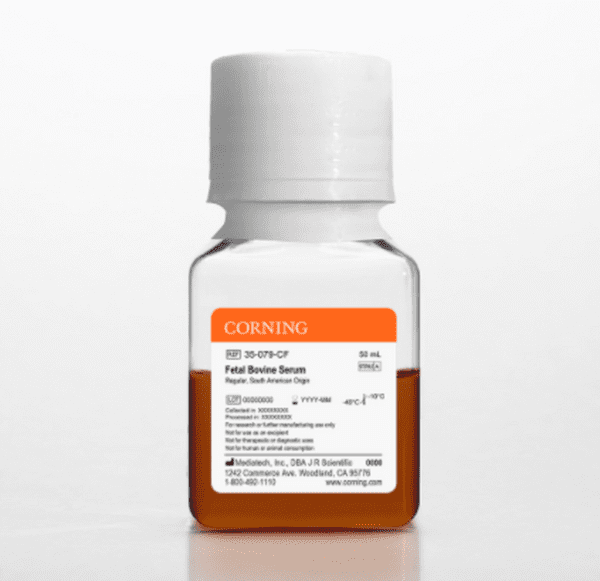 Corning® Fetal Bovine Serum, 50 mL, Regular, 1 / Ea