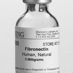 Corning® Fibronectin, Human, 1mg