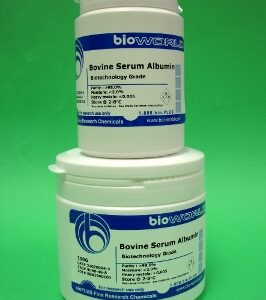 Bovine Serum Albumin (BSA), Fraction V - Fatty Acid Free 50g