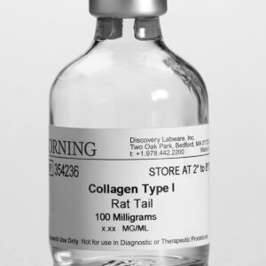 Corning® Collagen I, Rat Tail, 100 mg