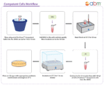 ProClone™ Competent Cells 1.2ml (6 x 200μl)