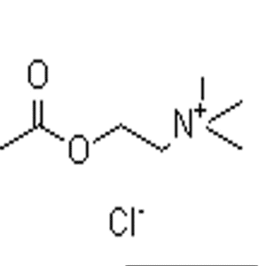 Acetylcholine chloride 25g