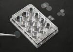 Coverslip, FLux, 12mm, fits into 24well, Sterile to SAL 10-6 100 / 200
