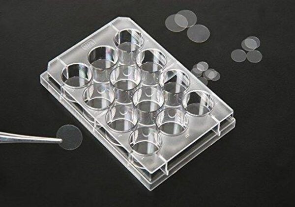 Coverslip, FLux, 12mm, fits into 24well, Sterile to SAL 10-6 100 / 200