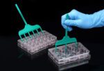 SPLScar™ Scratcher with 24well lid, HDPE, 0.5mm, Sterile to SAL 10-6