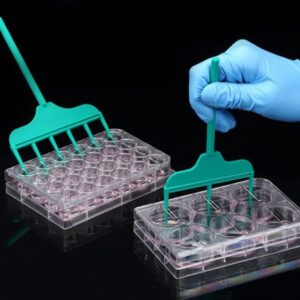 SPLScar™ Scratcher with 24well lid, HDPE, 0.5mm, Sterile to SAL 10-6