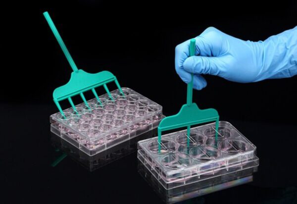 SPLScar™ Scratcher with 24well lid, HDPE, 0.5mm, Sterile to SAL 10-6