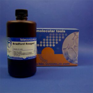 Bradford Reagent (Ready-to-Use) 500mL