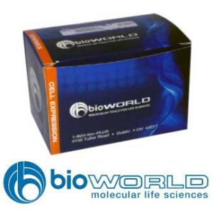 RNase A Solution, 20mg/mL