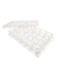 SPL Culture Plate 24 wells, Non-Treated, Flat Bottom, Sterile, 50/Case