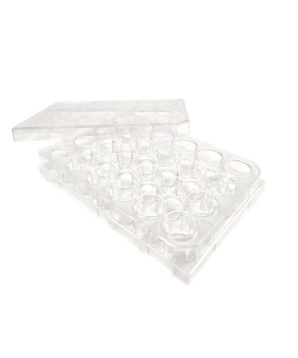 SPL Culture Plate 24 wells, Non-Treated, Flat Bottom, Sterile, 50/Case