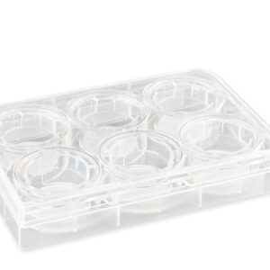 Corning® 24 mm Transwell® with 0.4 µm Pore Polycarbonate Membrane Insert, Sterile