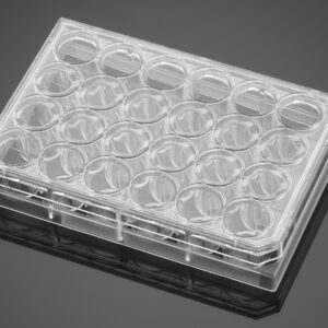 Corning® BioCoat® Collagen I Inserts with 0.4 µm PET Membrane in two 24-well Plates, 12/Pack, 24/Case