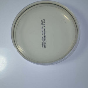 Mueller Hinton Agar (10 plates per box)