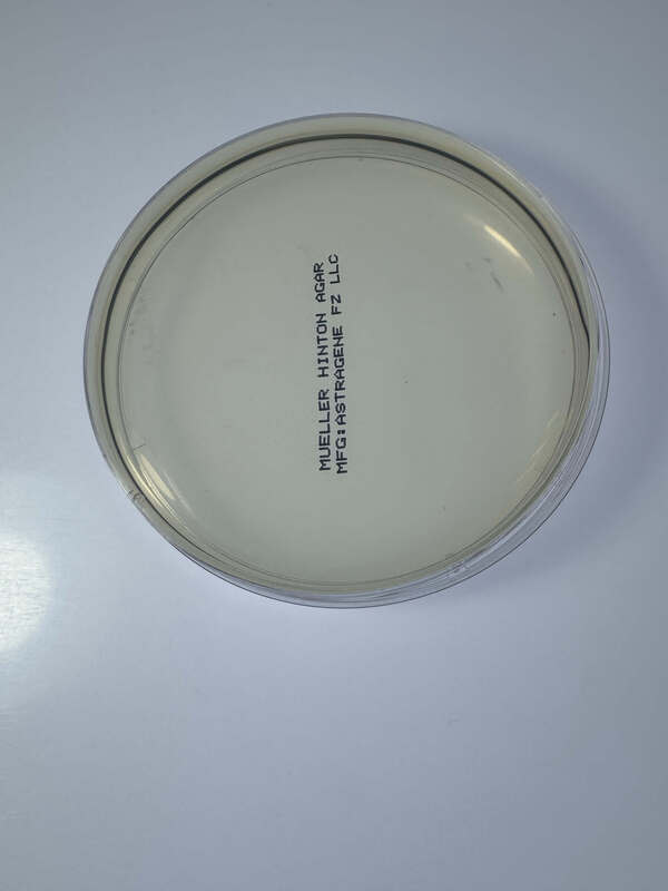 Mueller Hinton Agar (10 plates per box)