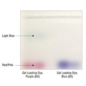 Gel Loading Dye, Purple (6X)