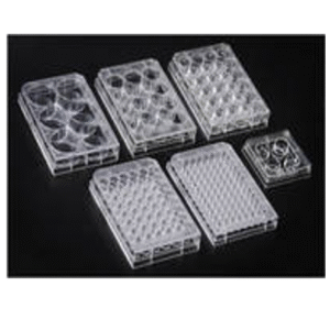 Cell Culture Plate NON TREATED, PS, 6 well, 85.4x127.6mm, Flat Bottom, Sterile
