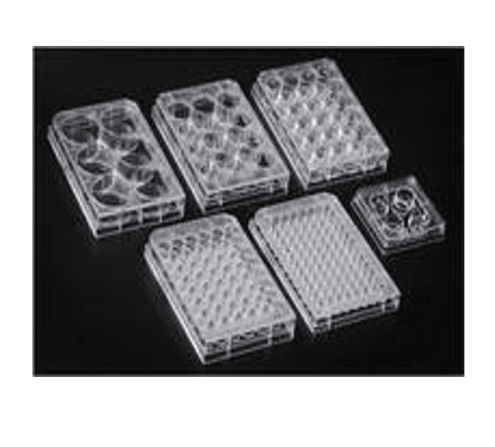 Cell Culture Plate NON TREATED, PS, 6 well, 85.4x127.6mm, Flat Bottom, Sterile