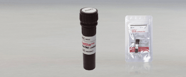 RedStar™ DNA/RNA Loading Dye (6X)