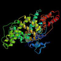 Bovine Serum Albumin, Fraction V - Crystallized 100g