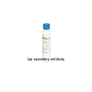 Goat Anti-Mouse IgG (H&L) - Alexa Fluor 488 0.5mL