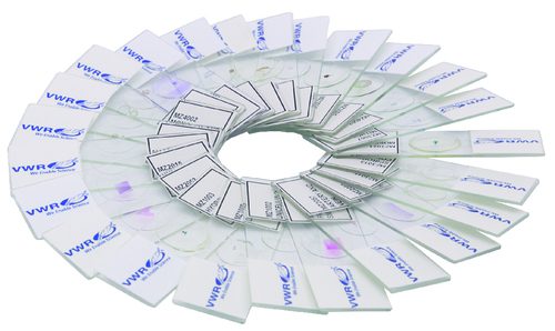 VWR®, Prepared Slides: General Biology 1 Kit