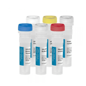SOLIScript® RT cDNA synthesis KIT