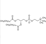 1,2-Distearoyl-sn-glycero-3-phosphocholine-200mg