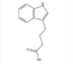 Indole-3-Butyric Acid (IBA) ,5 g