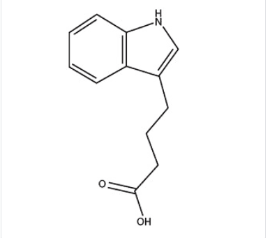 Indole-3-Butyric Acid (IBA) ,5 g